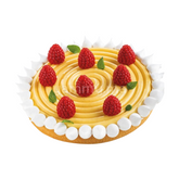 Moule Silicone Décor Hypnose Ø 14 cm "TOP05" (x2) - Pavoni